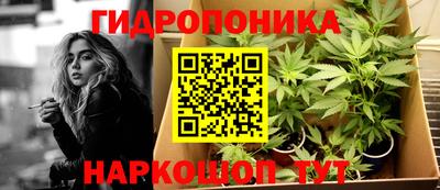 ГАЛЛЮЦИНОГЕННЫЕ ГРИБЫ Заволжье